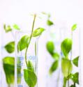 biosource 2